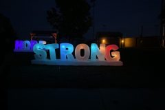 2019 Light the Night Walk